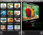 spb-flash-cards_haber1262028100.jpg
