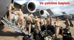 73782.jpg