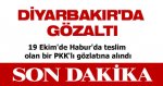 goz5454.jpg