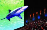 3dshark1265284431.jpg