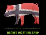 turk-hacker-lardan-norvec-e-sert-cevap.jpg