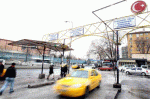 DOL.GIF
