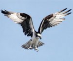 20100318113442_501594_detay.jpg