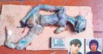 uzaylinin-sirri-cozuldu--1294718.jpg