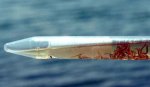 AC7F7529CA11277C4955AC3C25C26.jpg
