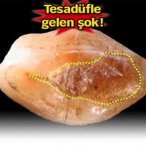 778163_detay.jpg