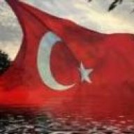 omer53535