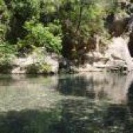 alp_tunga