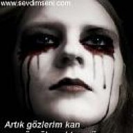 szgn_41