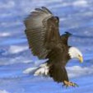 kartal677