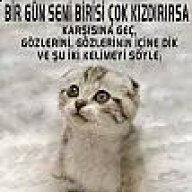 meftun_i