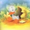 Ugly_Duck