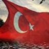 omer53535