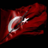 serdar2528