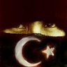 delisin_58