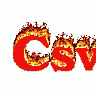 CswI