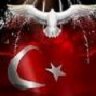 genco_42