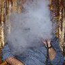 crazy_zaga