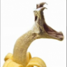 sesa