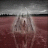 crazy_52