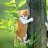 adamant_67