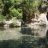 alp_tunga