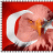 ersel_35