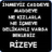 Aksi_Laz