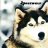 freewolf