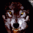 wolkanno